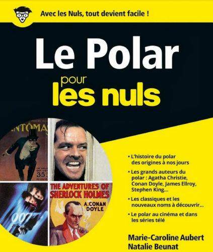 Le Polar pour les Nuls - Google Books.png